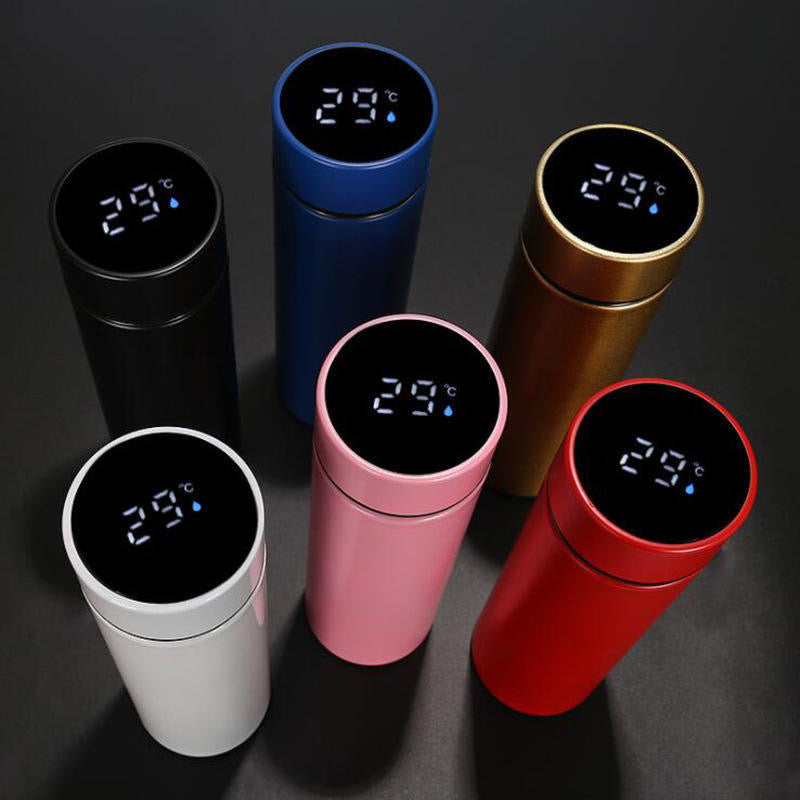 Smart Led Display Bottle Stainless Steel
